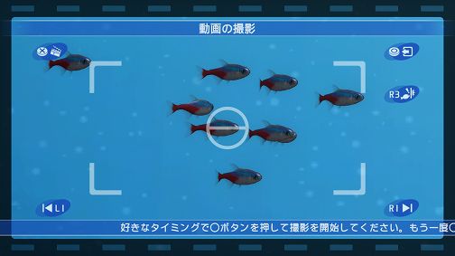画像ギャラリー No.004のサムネイル画像 / 「ブルーオアシス〜魚の癒し空間〜」,PS3に登場。明日配信