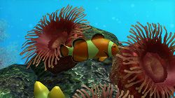画像ギャラリー No.007のサムネイル画像 / 「ブルーオアシス〜魚の癒し空間〜」,PS3に登場。明日配信