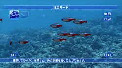 画像ギャラリー No.008のサムネイル画像 / 「ブルーオアシス〜魚の癒し空間〜」,PS3に登場。明日配信