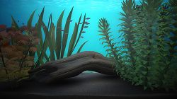 画像ギャラリー No.011のサムネイル画像 / 「ブルーオアシス〜魚の癒し空間〜」,PS3に登場。明日配信