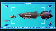 画像ギャラリー No.009のサムネイル画像 / PlayStation Store最新情報。“癒し”成分満点の「ブルーオアシス〜魚の癒し空間〜」など新作タイトルが目白押し。さらにあの注目作のカスタムテーマも