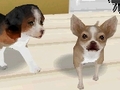 エム・ティー・オー，「カジュアルシリーズ2980」第一弾として犬/猫/馬/サルの育成ができる「Petz」シリーズ4タイトルを発売