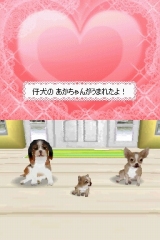 カジュアルシリーズ2980 Petz Dogz ドッグズ