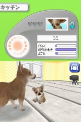 カジュアルシリーズ2980 Petz Dogz ドッグズ