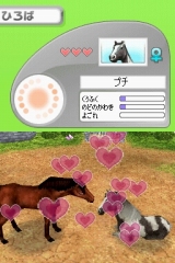 カジュアルシリーズ2980 Petz Horsez ホースズ