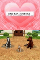 カジュアルシリーズ2980 Petz Horsez ホースズ