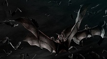 画像ギャラリー No.008のサムネイル画像 / 「バイオハザード/ダークサイド・クロニクルズ」に登場する二人の登場人物とクリーチャーが公開