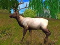 ドライブ，「ハンティング・アンリミテッド2009」日本語マニュアル付き英語版を5月1日に発売