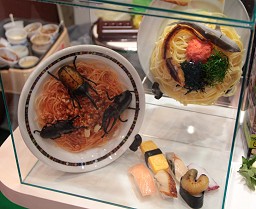画像ギャラリー No.046のサムネイル画像 / 「東京おもちゃショー2010」開幕，ゲーム関連の商品からローテク/ハイテク織り交ぜた最新玩具をレポート