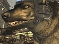 医者からロボットまで！「Fallout: New Vegas」に登場する8人のコンパニオン・キャラクターが一挙公開