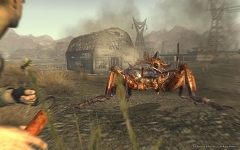 画像ギャラリー No.005のサムネイル画像 / 北米地域での発売が迫る「Fallout: New Vegas」のビデオダイアリー第5弾が公開に。“New Vegas”のメインストリートの様子を確かめよう