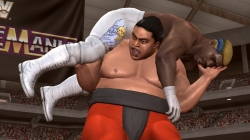 画像ギャラリー No.007のサムネイル画像 / X360/PS3「WWE Legends of WrestleMania」が2009年7月9日に発売決定
