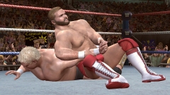 画像ギャラリー No.004のサムネイル画像 / 「WWE Legends of WrestleMania」早期購入特典はWWEピンズ/トレカ