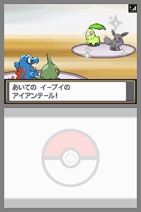 画像ギャラリー No.017のサムネイル画像 / 「ポケモンワールドチャンピオンシップス2010」，47都道府県予選の参加者申し込みが本日より開始