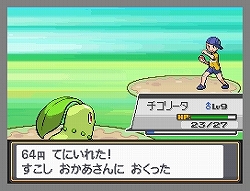 画像ギャラリー No.033のサムネイル画像 / 祝「ポケモン金・銀」10周年! NDS用ソフトとしてリメイクされ大きくパワーアップした「ポケットモンスター ハートゴールド・ソウルシルバー」レビュー