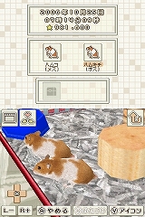 画像ギャラリー No.006のサムネイル画像 / ハムスターファン必見！　NDS「ハムスターと暮らそう Best Price」7月9日に発売
