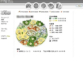 画像ギャラリー No.006のサムネイル画像 / 一見するとまったり系箱庭シムだが，実は弱肉強食，略奪系。ブラウザベースのオンラインストラテジー「Travian」の世界へご案内