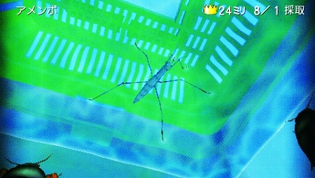 画像ギャラリー No.010のサムネイル画像 / PSPで1985年の夏休みにタイムスリップ。「ぼくのなつやすみ4 瀬戸内少年探偵団、ボクと秘密の地図」が7月2日に発売