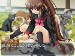 画像ギャラリー No.028のサムネイル画像 / 「プロトタイプ・ファン感謝デー2009」が6月20日に秋葉原で開催