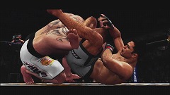 画像ギャラリー No.023のサムネイル画像 / 秋山成勲vs.ヴァンダレイ・シウバも発表された「UFC 2009 Undisputed」記者会見レポート