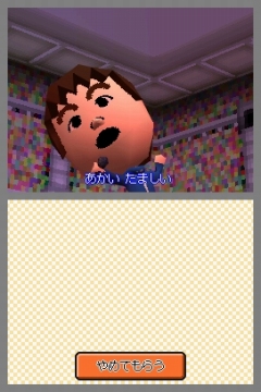 画像ギャラリー No.008のサムネイル画像 / 友達100人できるかな？　ニンテンドーDSの中でMiiの“トモダチ”と暮らせる「トモダチコレクション」が本日発売