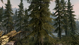 画像ギャラリー No.017のサムネイル画像 / 【PR】「本当にSkyrimが快適動作するPC」はこれだ。第4世代「ALIENWARE Aurora」で,美麗なグラフィックスを最大限堪能する