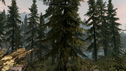 画像ギャラリー No.018のサムネイル画像 / 【PR】「本当にSkyrimが快適動作するPC」はこれだ。第4世代「ALIENWARE Aurora」で,美麗なグラフィックスを最大限堪能する