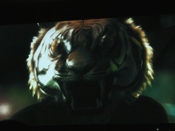 画像ギャラリー No.017のサムネイル画像 / ［TGS 2010］“Xbox 360の成功には日本のクリエイターの力が不可欠”。MSから5作のKinect専用タイトルなどが発表された，TGS 2010基調講演レポート