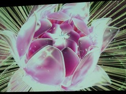 画像ギャラリー No.020のサムネイル画像 / ［TGS 2010］“Xbox 360の成功には日本のクリエイターの力が不可欠”。MSから5作のKinect専用タイトルなどが発表された，TGS 2010基調講演レポート