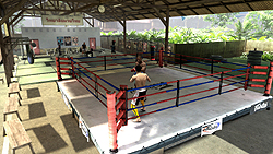 画像ギャラリー No.001のサムネイル画像 / 「EA Sports MMA」キャリアモードのムービー入手。元UFC世界ヘビー級王者バス・ルッテン氏の指南によって,ゲーム界の格闘チャンピオンを目指せ