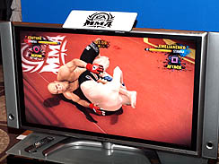 画像ギャラリー No.013のサムネイル画像 / 日本人選手大活躍。エレクトロニック・アーツ初の格闘技モノとなる，「EA SPORTS 総合格闘技」のインプレッションとムービーを掲載