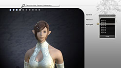 画像ギャラリー No.008のサムネイル画像 / ［E3 2010］1か月以内にはβテストが開始！「FINAL FANTASY XIV」田中弘道氏，黒澤尉志氏インタビュー