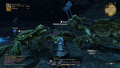 画像ギャラリー No.016のサムネイル画像 / ［E3 2010］1か月以内にはβテストが開始！「FINAL FANTASY XIV」田中弘道氏，黒澤尉志氏インタビュー