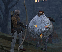 画像ギャラリー No.003のサムネイル画像 / 「FINAL FANTASY XIV」はどうなるのか? 開発チームの刷新から半年が経った今,これからの展開をプロデューサーとバトルプランナーに聞いてみた