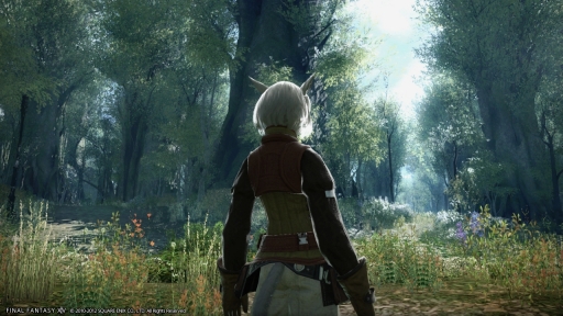 画像ギャラリー No.020のサムネイル画像 / ［E3 2012］「FINAL FANTASY XIV」のアップデートパッチ「Version 2.0」に関連した最新のアートワークとスクリーンショットを一挙掲載