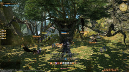 画像ギャラリー No.011のサムネイル画像 / ［Gamescom］「ファイナルファンタジーXIV： 新生エオルゼア」のβテストは2012年冬に決定。吉田Pへの合同インタビューもあったステージをレポート
