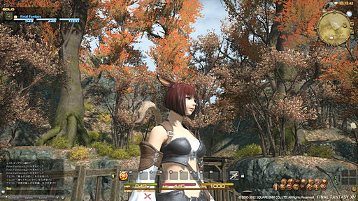 画像ギャラリー No.032のサムネイル画像 / 現行のグローバルMMORPGには負けたくない――「FINAL FANTASY XIV」のグランドフィナーレ直後に公開された新生FFXIVの新情報について吉田直樹氏にいろいろ聞いた