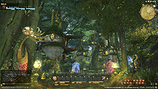 画像ギャラリー No.008のサムネイル画像 / 「ファイナルファンタジーXIV：新生エオルゼア」，αバージョンプレイデモのPart4「続・黒衣森 ウォークスルー」およびスクリーンショットを公開