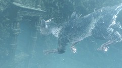 画像ギャラリー No.002のサムネイル画像 / 「ICO」や「ワンダと巨像」を手がけた上田文人氏の最新作「人喰いの大鷲トリコ」の画像12点をUp