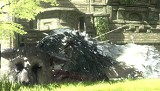 人喰いの大鷲トリコ
