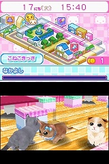 画像ギャラリー No.005のサムネイル画像 / 「かわいい子猫DS2」の公式サイトがオープン。可愛いプレイムービーも公開