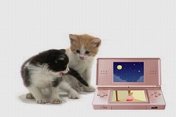 画像ギャラリー No.003のサムネイル画像 / ネコ好き必見！　「かわいい子猫DS2」公式サイトでテレビCMが公開