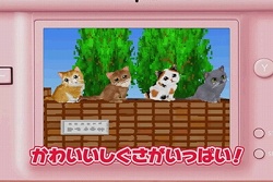 画像ギャラリー No.005のサムネイル画像 / ネコ好き必見！　「かわいい子猫DS2」公式サイトでテレビCMが公開