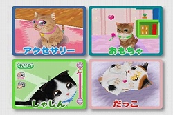 画像ギャラリー No.007のサムネイル画像 / ネコ好き必見！　「かわいい子猫DS2」公式サイトでテレビCMが公開