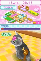 かわいい子猫DS2