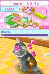 かわいい子猫DS2