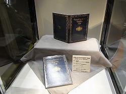 画像ギャラリー No.013のサムネイル画像 / ［TGS 2009］ブースレポート：セガ編――いつにも増して期待作/話題作がてんこ盛り。一つたりとも見逃せない！