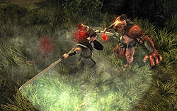 画像ギャラリー No.004のサムネイル画像 / ［Gamescom］「Gothic」シリーズの開発者が贈る新作RPG「Risen」がプレイアブルで出展