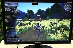 画像ギャラリー No.004のサムネイル画像 / ［CJ 2010］アクションゲームなみの戦闘を実現するMMORPG「流星胡蝶剣Online」が早くもプレイアブル出展