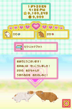 画像ギャラリー No.002のサムネイル画像 / 今度は赤ちゃんも育てられる！　数々の新要素を追加したNDS「ハムスターと暮らそう」の続編が2009年秋に発売決定